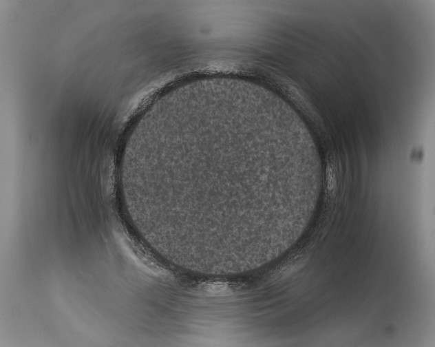 X0000113950588200911061305