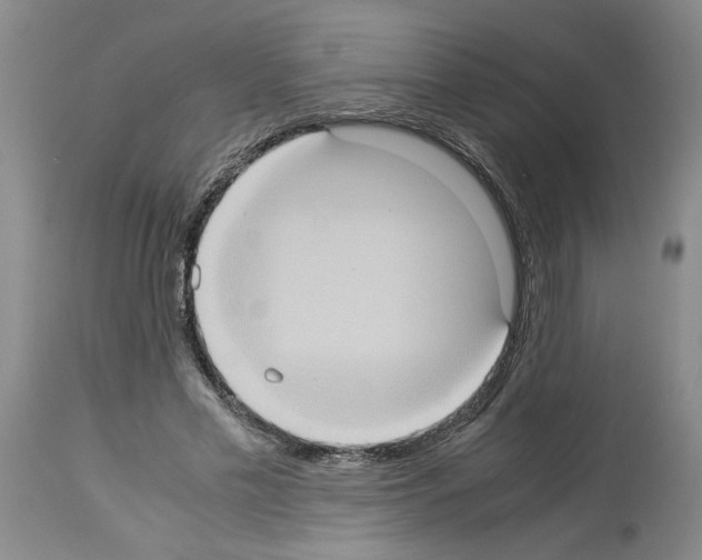 X0000113950589200911061305