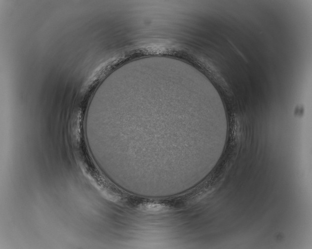 X0000113950590200911061305