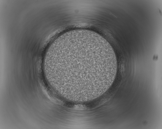 X0000113950591200911061305