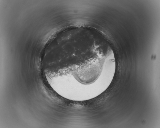 X0000113950592200911061305