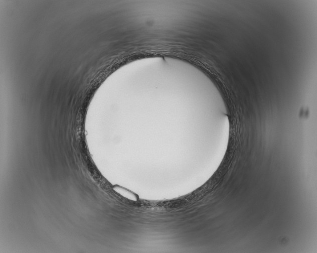 X0000113950593200911061305