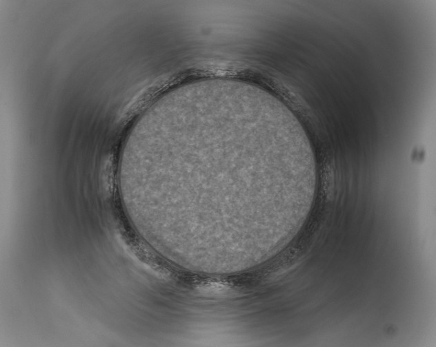 X0000113950594200911061305