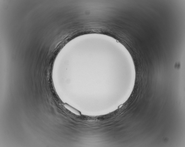 X0000113950595200911061305