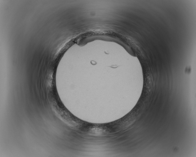 X0000113950596200911061305