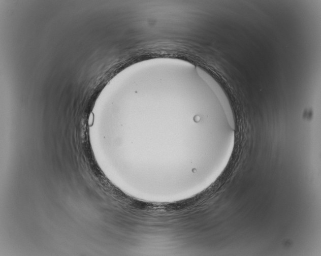 X0000113950597200911061305