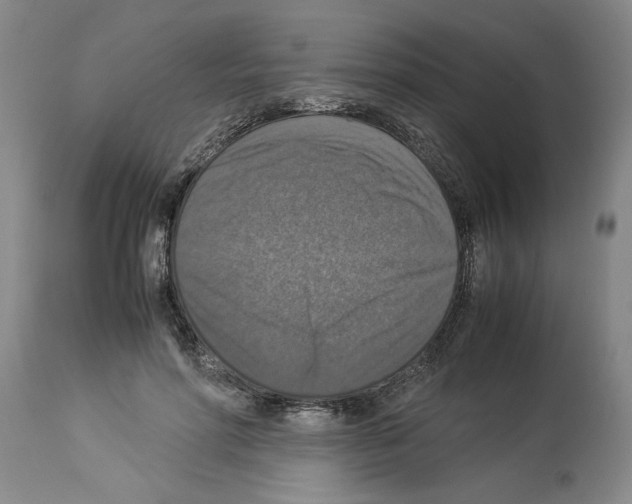 X0000113950598200911061305