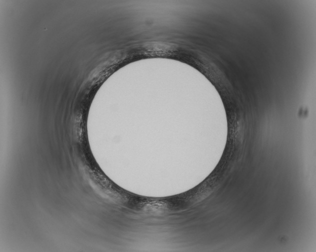 X0000113950599200911061305