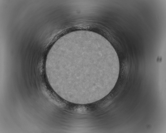 X0000113950600200911061305