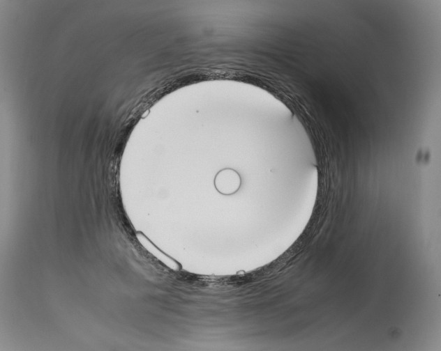 X0000113950601200911061305
