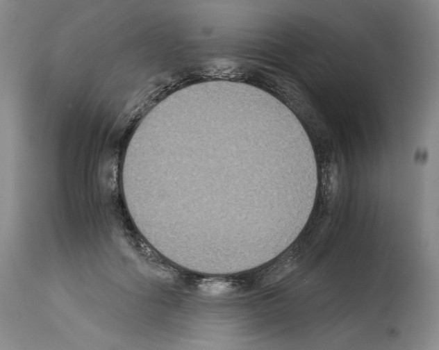 X0000113950602200911061305