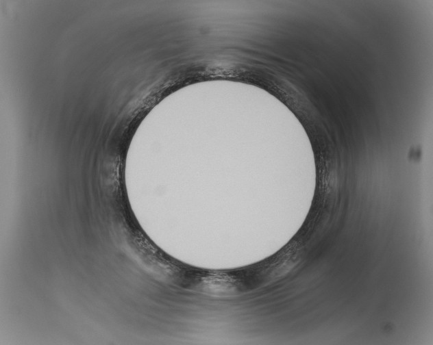 X0000113950603200911061305