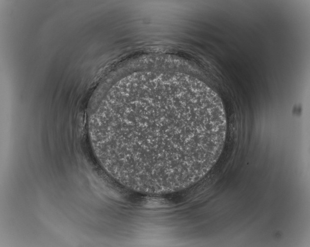 X0000113950605200911061305