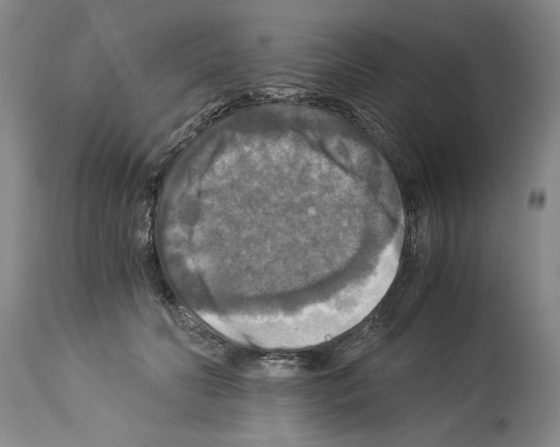 X0000113950606200911061305