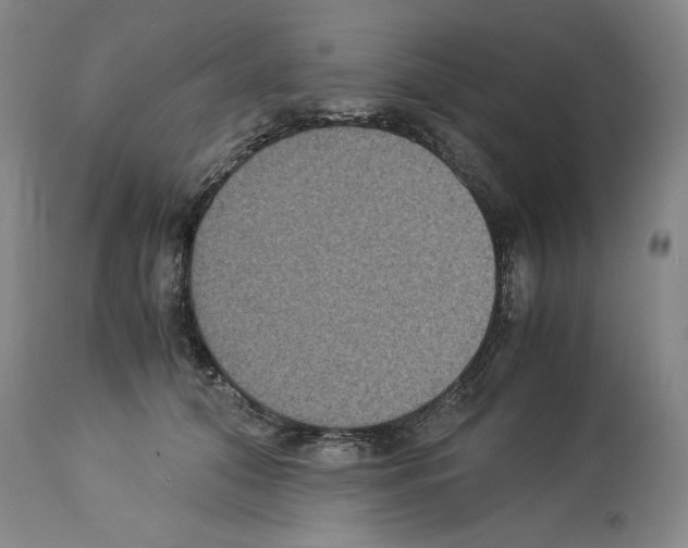 X0000113950608200911061305