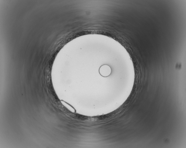 X0000113950609200911061305