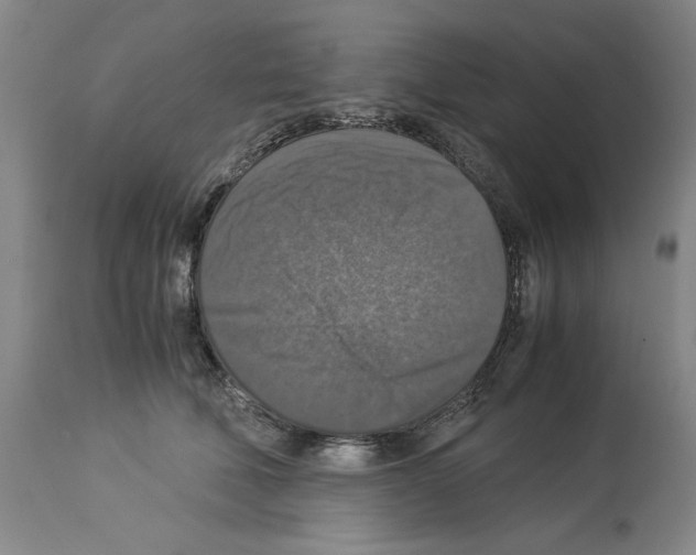 X0000113950610200911061305