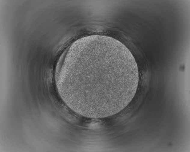 X0000113950612200911061305