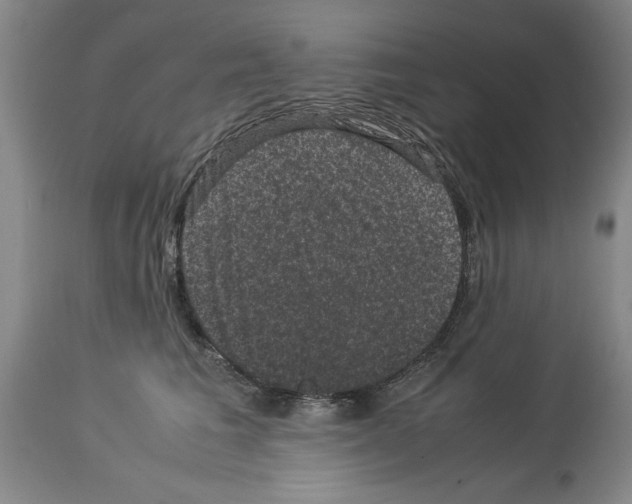 X0000113950613200911061305
