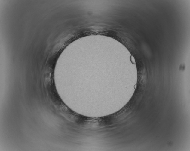 X0000113950615200911061305