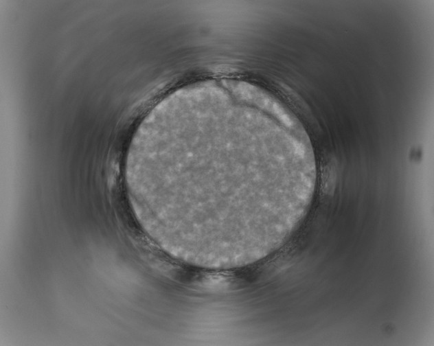 X0000113950618200911061305