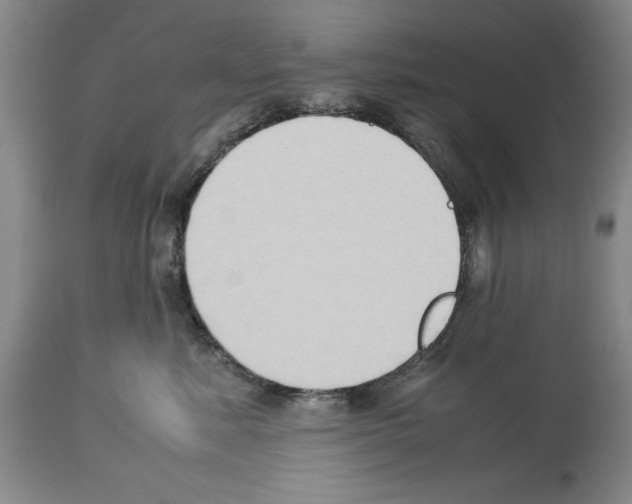 X0000113950619200911061305