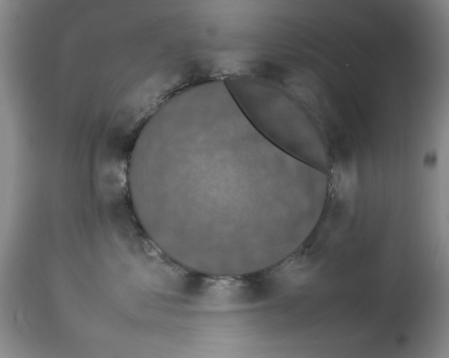 X0000113950621200911061305