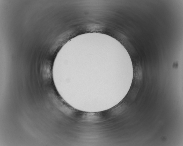 X0000113950622200911061305