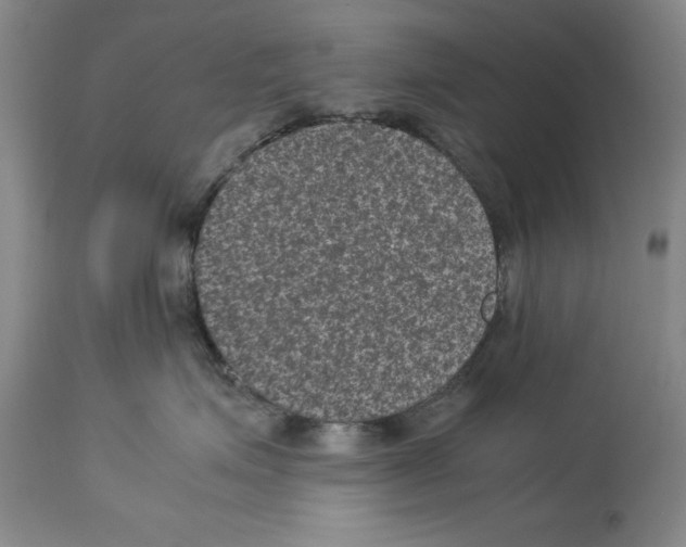 X0000113950623200911061305