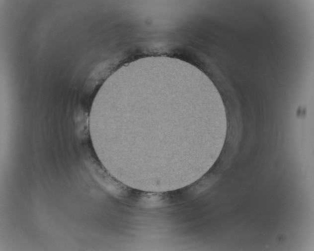 X0000113950624200911061305