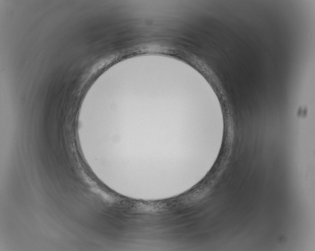 X0000113950625200911061304