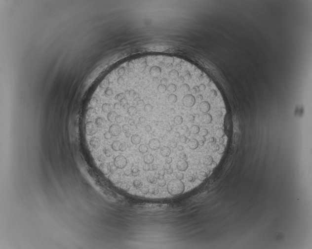 X0000113950626200911061304