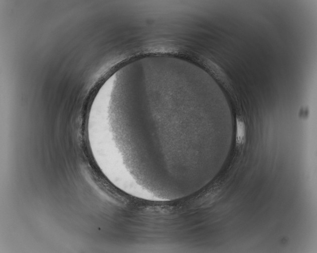 X0000113950627200911061304