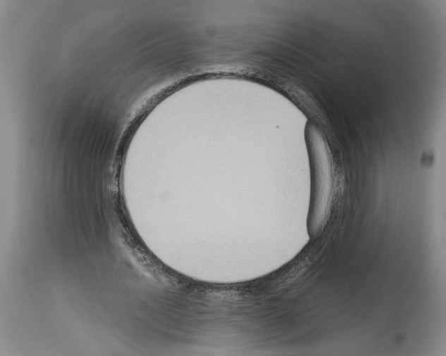 X0000113950628200911061304