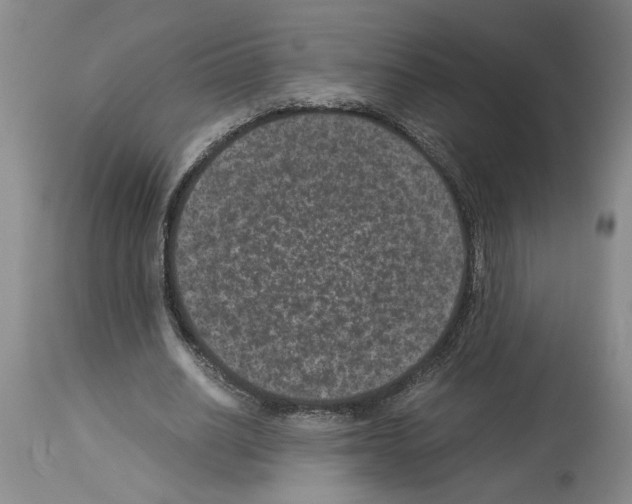 X0000113950630200911061304