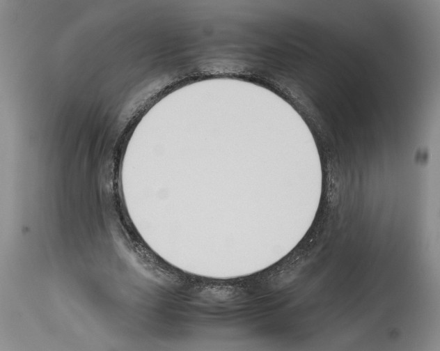 X0000113950631200911061304