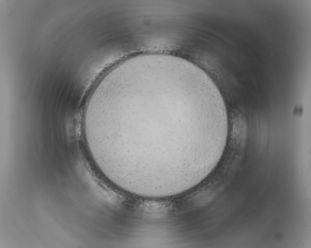 X0000113950632200911061304