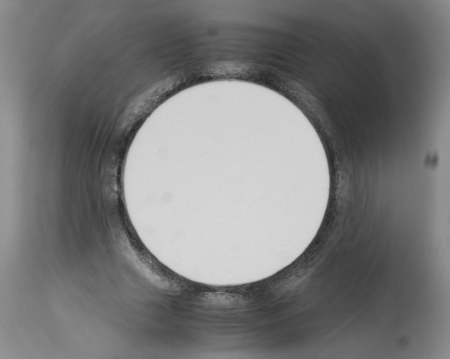 X0000113950633200911061304