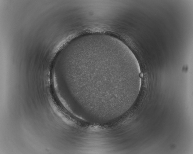 X0000113950634200911061304