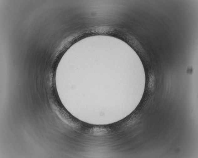 X0000113950636200911061304