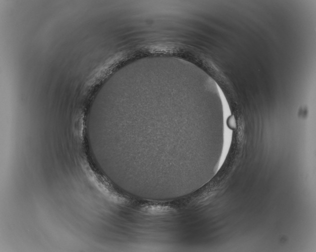 X0000113950637200911061304