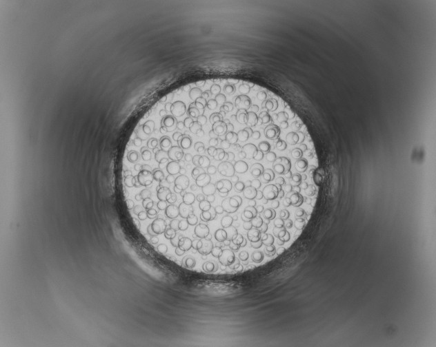 X0000113950638200911061304