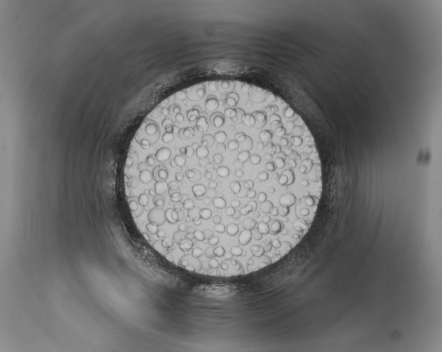 X0000113950639200911061304
