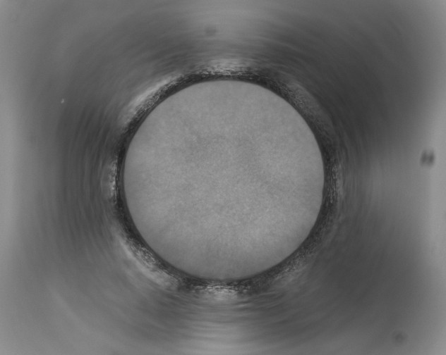 X0000113950640200911061304