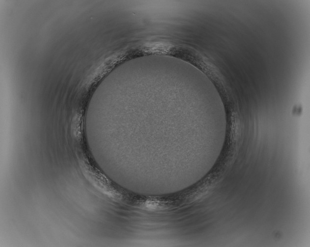 X0000113950641200911061304