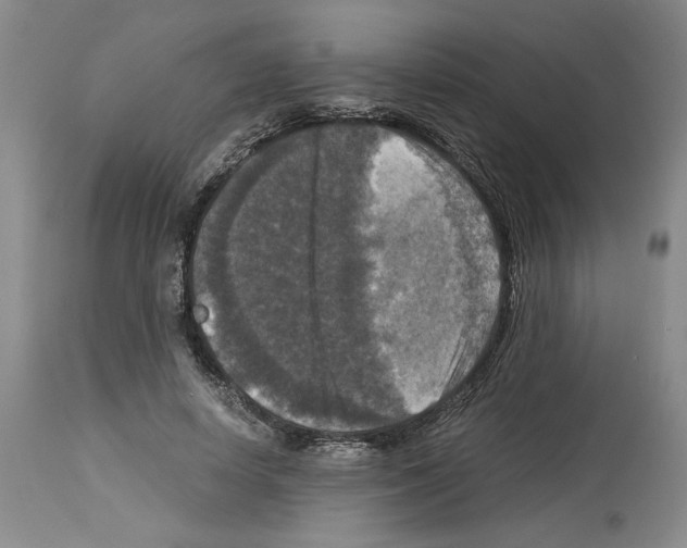 X0000113950642200911061304
