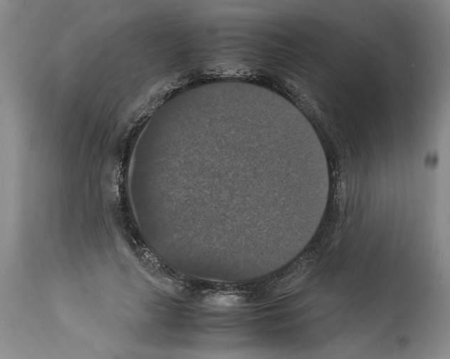 X0000113950643200911061304