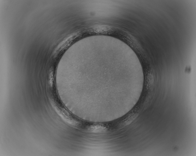 X0000113950644200911061304