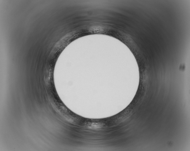 X0000113950645200911061304