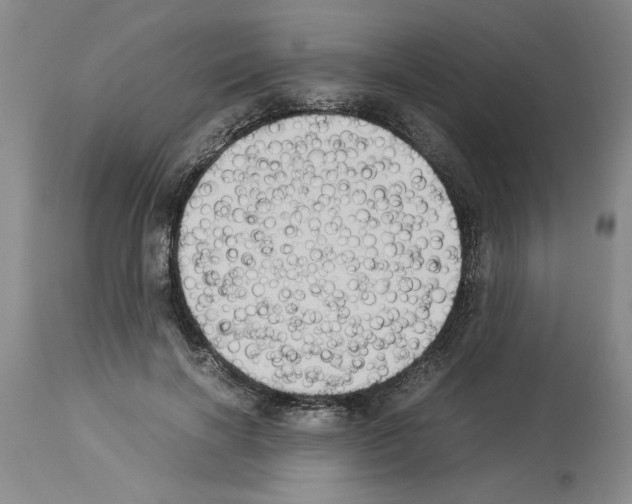 X0000113950646200911061304